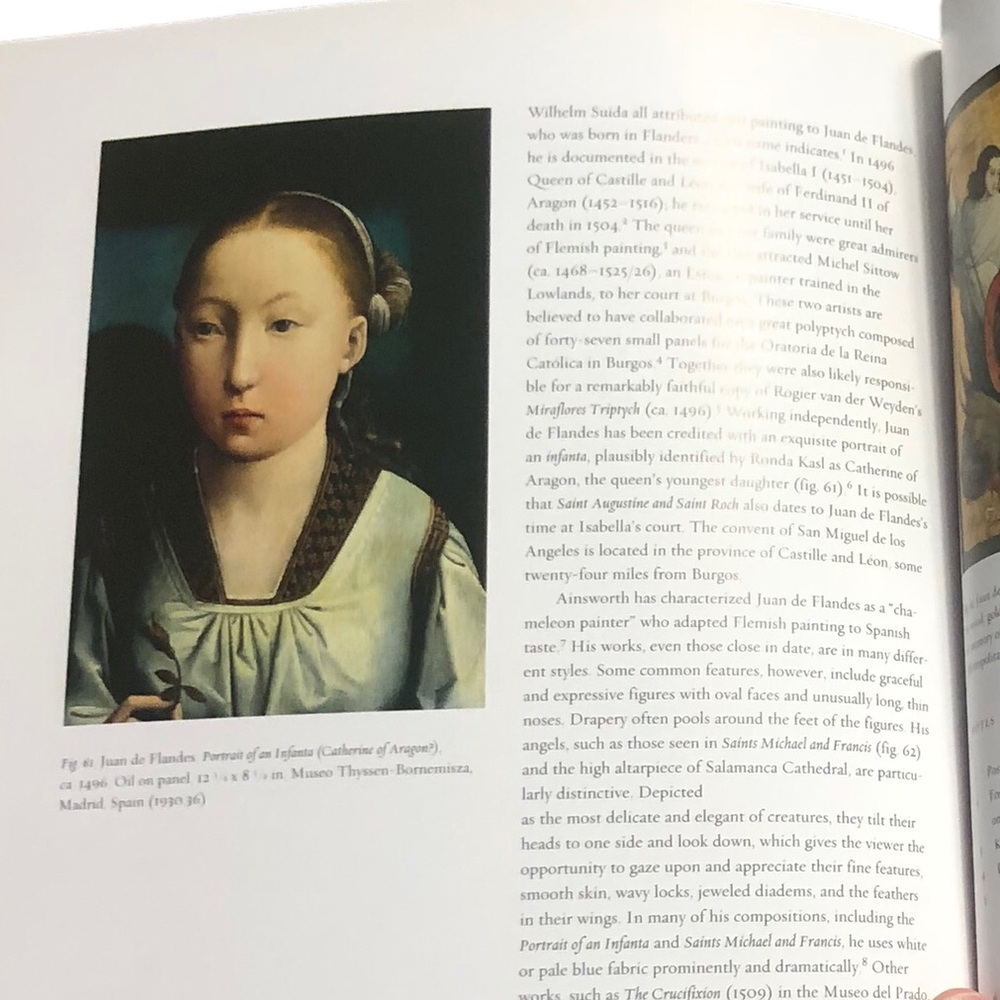 A Divine Light Northern Renaissance Painting Book - Picture 5 of 8
